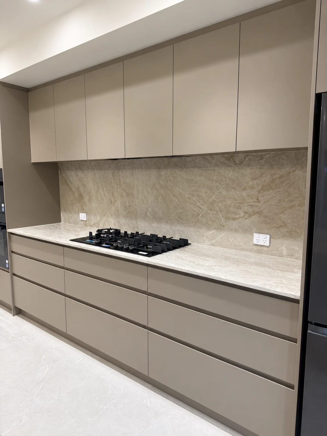 the fortis project image